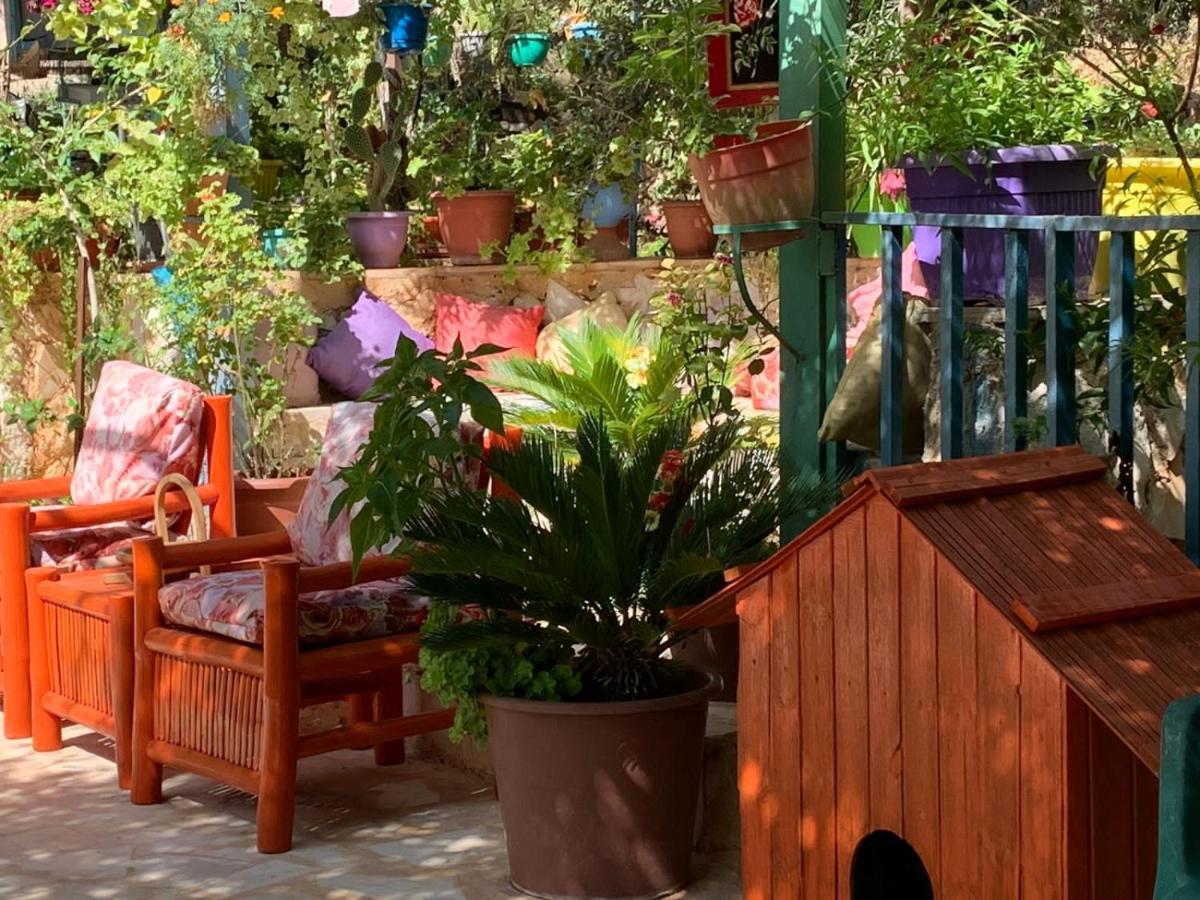 بيت الطبيعة nature house جرش المظهر الخارجي الصورة