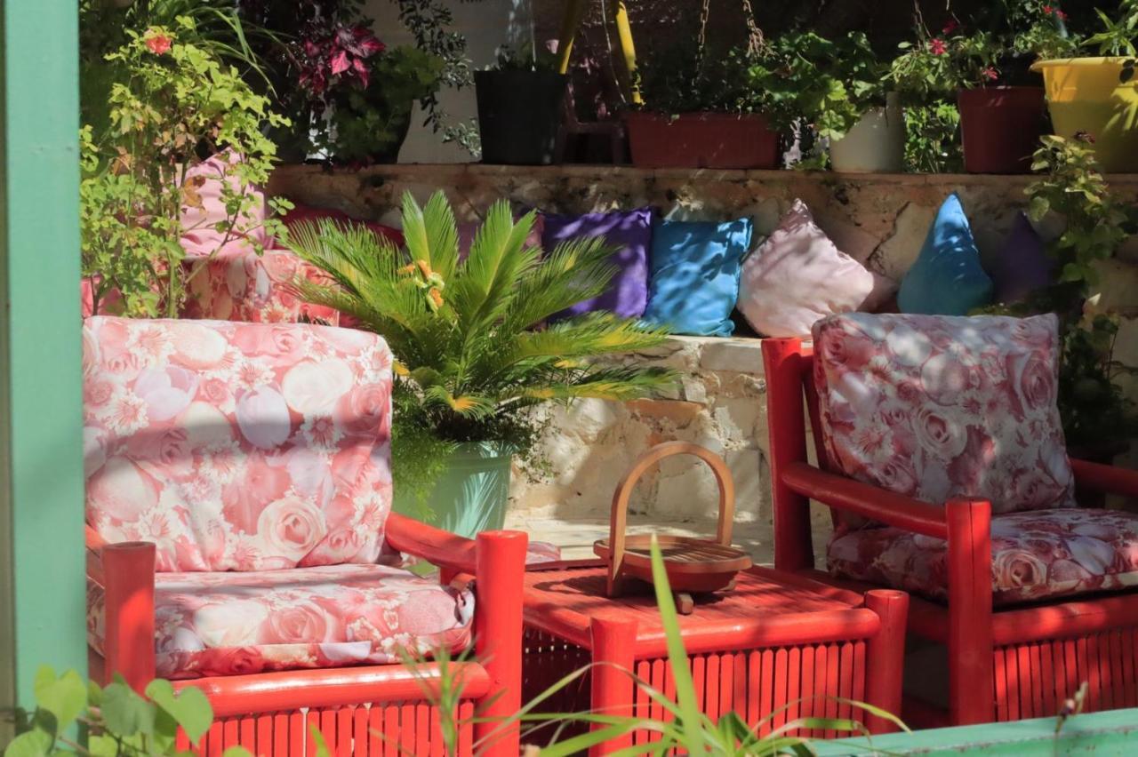 بيت الطبيعة nature house جرش المظهر الخارجي الصورة