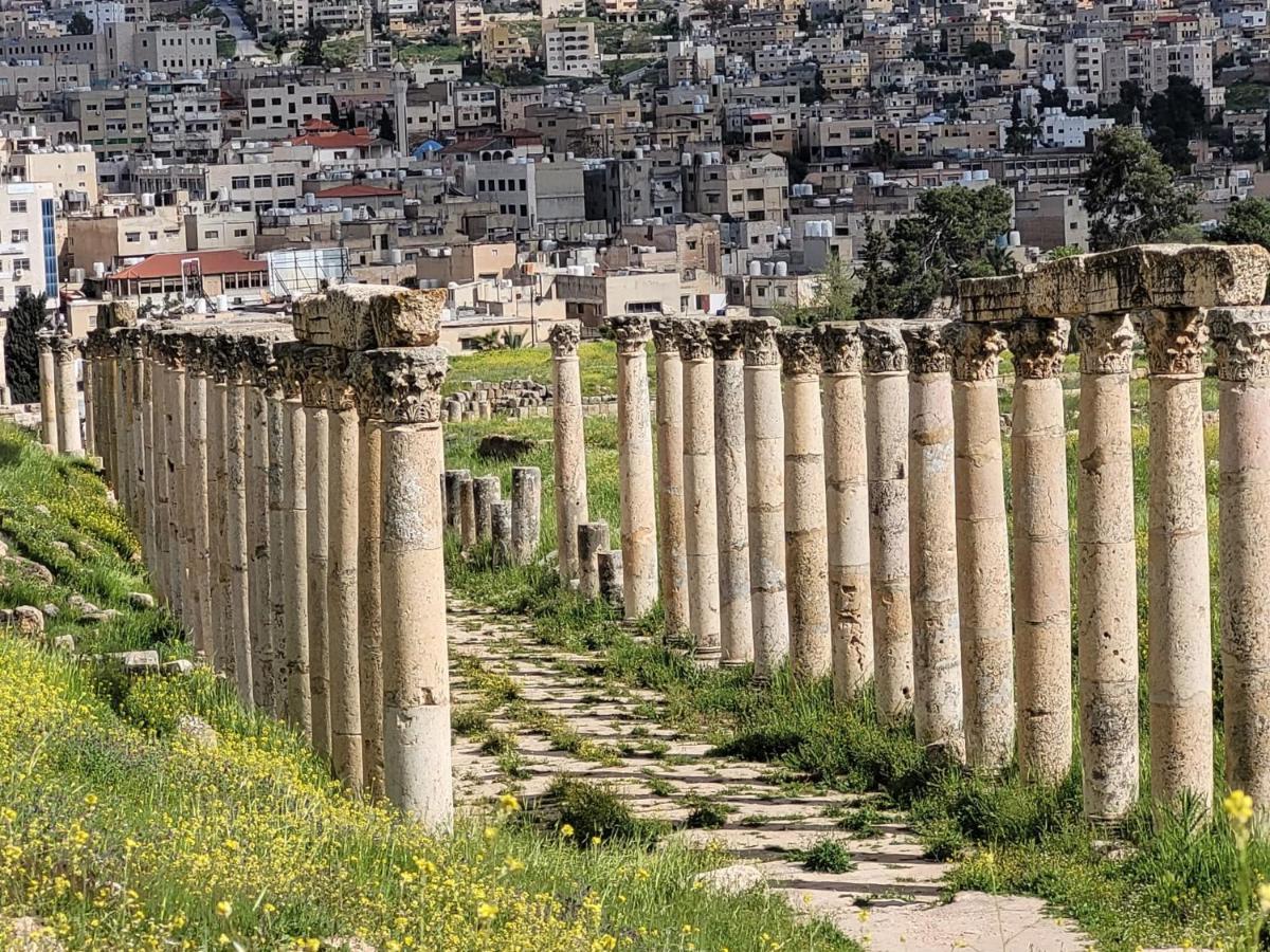 بيت الطبيعة nature house جرش المظهر الخارجي الصورة