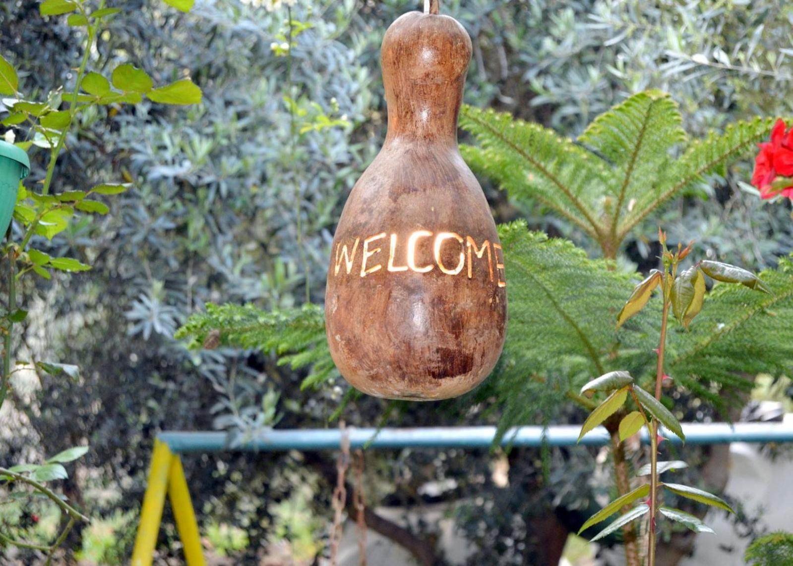 بيت الطبيعة nature house جرش المظهر الخارجي الصورة