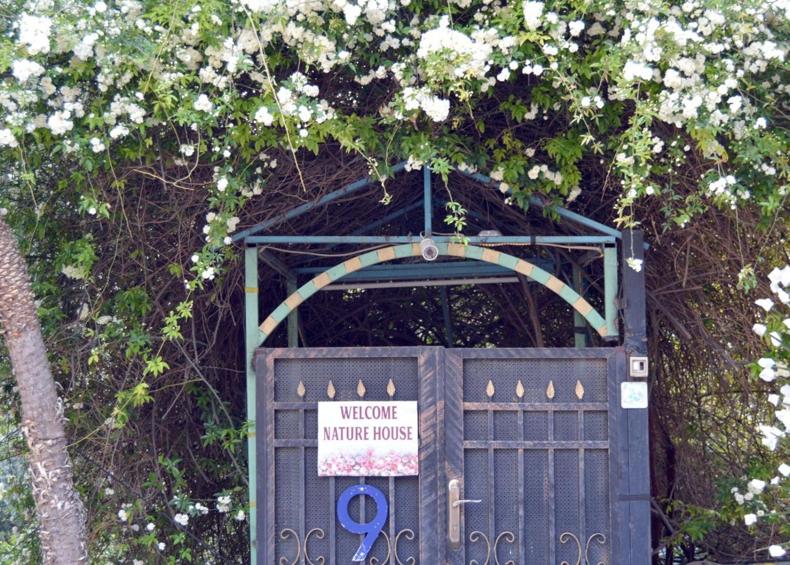 بيت الطبيعة nature house جرش الغرفة الصورة
